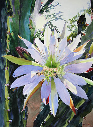 Kat O'Connor cactus bloom Arizona White Stallion Ranch watercolor painting