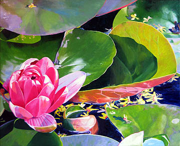 Kat O'Connor, oil painting, oil, flowers, lilly pads, water, reflections, colorful, art, paintings for sale