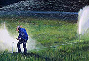 Kat O'Connor man irrigation water field cowboy oil painting