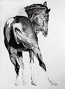 Kat O'Connor artist, horse, drawing, conte